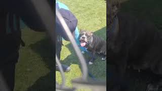 Meet timestamped Kolby! Acctphilly.org 