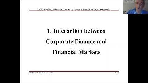 Itay Goldstein- Global Virtual Seminar Series on Fintech