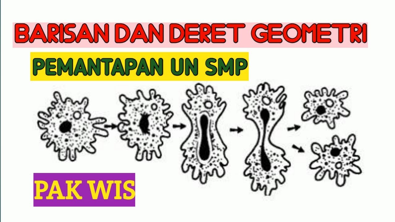 Pemantapan Un Matematika Smp Barisan Dan Deret Geometri Bagian 1