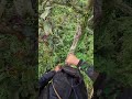 the process of going to the beehive #ayisupriatnamadu #nature
