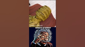 Time Is Just an Illusion ⏳ | Albert Einstein Explained | SigmaX Academy