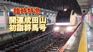 臨時特急 開運成田山初詣群馬号 E653系 国鉄色 51號