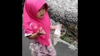 Dede safira