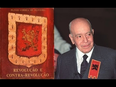 Vídeo: Os estágios de cognição - respostas às perguntas de Alexey Orlov