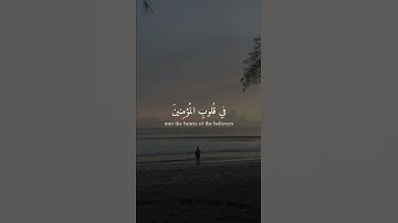 سورة الفتح | محمد صديق المنشاوي