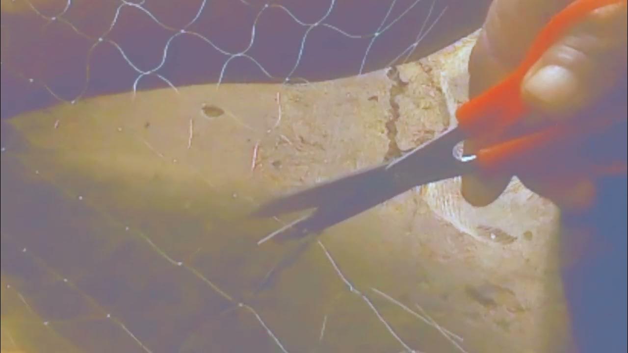 Paano gumawa Ng lambat, Easy tutorial making Fish Net