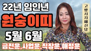2022년 임인년 5월6월 띠별운세 삼재 원숭이띠띠 고양시 지해신당 지해보살 010-2250-5251 영검한…