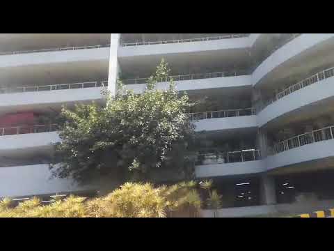 يا مسافر يحفظك ربي وترجع بالسلامه