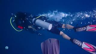 Couple's Private Scuba Diving Experience