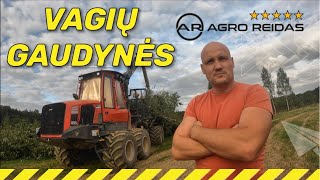 VAGIŲ GAUDYNĖS || #AgroREIDAS #35