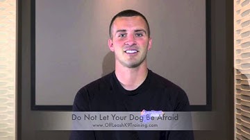 Confidence Building Part 1 of 5: Noise Desensitization! Fearful Dog Training