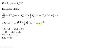 General Equilibrium: Private Ownership Economy and Walrasian Equilibrium