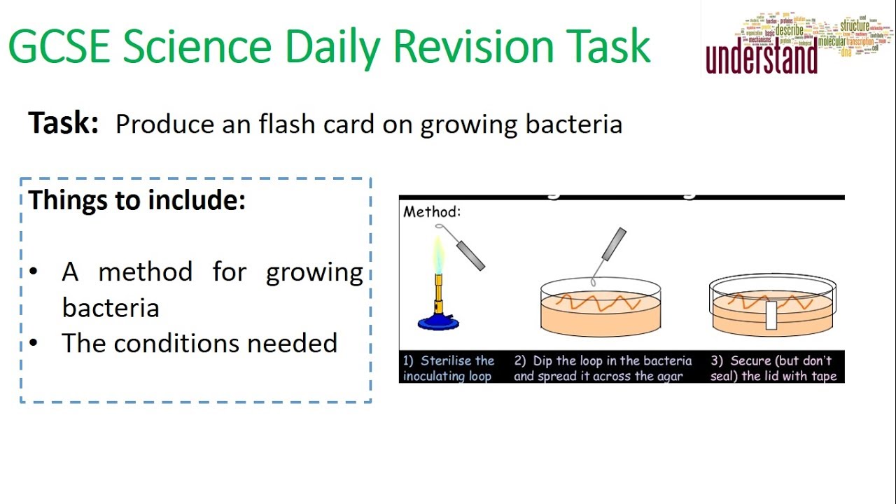 GCSE Science Daily Revision Task 6: Culturing Microorganisms ks430 internorm