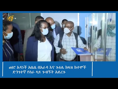 ወ/ሮ አዳነች አቤቤ በአራዳ እና ጉለሌ ክፍለ ከተሞች ድንገተኛ የስራ ላይ ጉብኝት አደረጉ