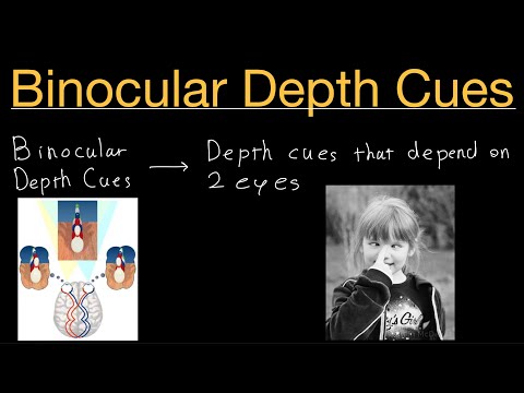 Binocular Depth Cues