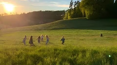 Подборка музыки под летний вайб (Music selection for summer vibe)