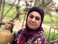 جرادات القدس صور ريفية وحاملة الجرة 17 4 2017 جرادات القدس صور ريفية وحاملة الجرة 17 4 2017