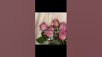 اكتب شيء تؤجر عليه ❤️‍🩹🌿 #تلاوة_خاشعة #قران_كريم #اذكر_الله