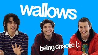 wallows being chaotic for 2 minutes straight