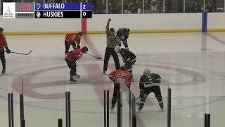 NIHL South 2 Final - Basingstoke Buffalo v Haringey Huskies HIGHLIGHTS
