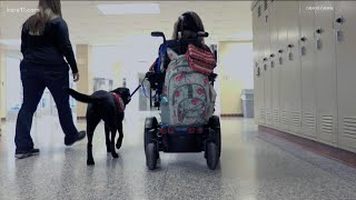 Can Do Canines helps people with disabilities with service dogs