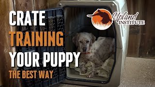 Crate Training Your Puppy the Best Way