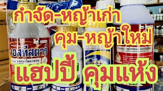 กำจัด - หญ้าเก่า  คุม - หญ้าใหม่ ได้ผลดีมาก ด้วย...แฮปปี้ คุมแห้ง+ โฟสต้า 0899428684 0925164252