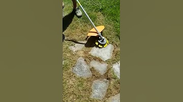 Piranha brush cleaning over grown stone sidewalk