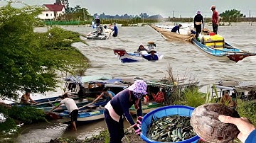 Con nước cá đi dân tứ xứ chạy bão qua Campuchia đánh bắt cá linh mùa lũ rút 