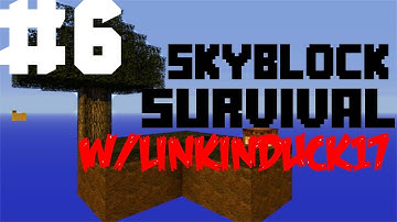 Skyblock 2.1 - Ep 6 - Data Values? - w/linkinduck17