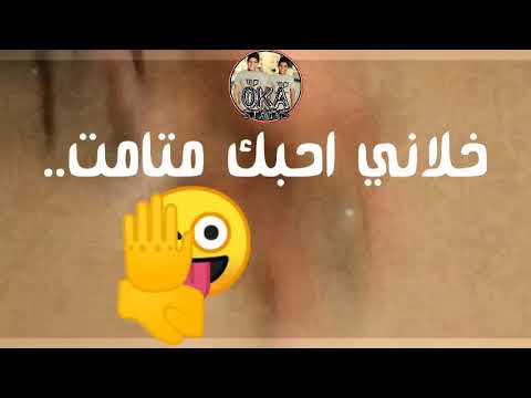 حالة واتس اب مهرجان بارد ممل3 انا قلبي ابن الفتاكة شواحه 2019