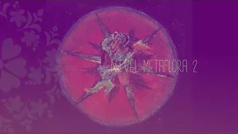 Nvel Metaflora 2 - por Patricia Kaminski (legendado)