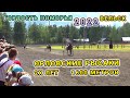 Забеги Орловских Рысаков 2x лет на 1600м - Конный спорт Вельск