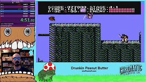 Ninja Gaiden 13 min 03 Sec Speedrun (NES)