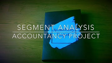 Segment Analysis  Project Class 12 Accountancy