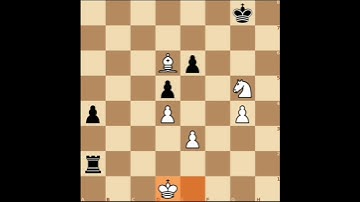 MAGNUS CARLSEN MADE TERRIBLE BLUNDER AGAINST VISWANATHAN ANAND | RAPID CHESS 2014