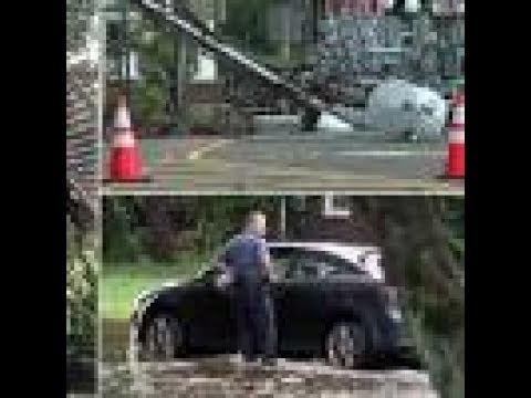 Powerful storms uproot trees, cause power outages in Pa., NJ