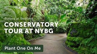 New York Botanical Garden CONSERVATORY Tour — Ep. 356 by Summer Rayne Oakes 19,374 views 3 months ago 14 minutes, 54 seconds