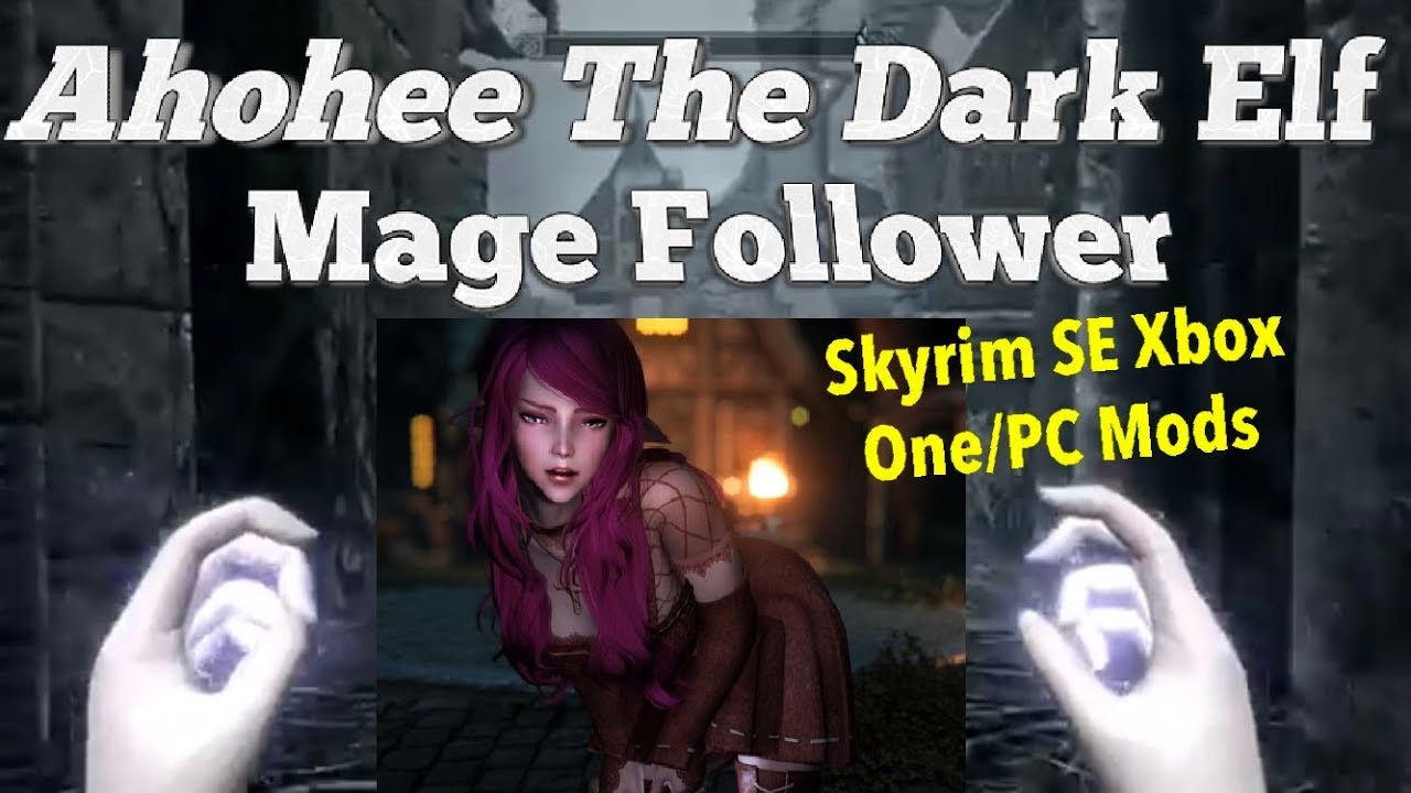 Skyrim dark elf follower