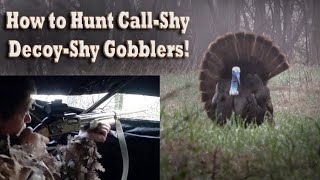 How to Hunt Call Shy Decoy Shy Turkeys! Spring Gobbler Ambush  Setup Tips & Tactics