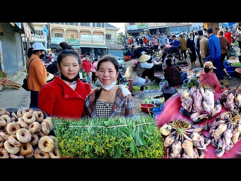 Video: Zaub Qhwv Zaub Xam Lav Nrog Txiv Kab Ntxwv