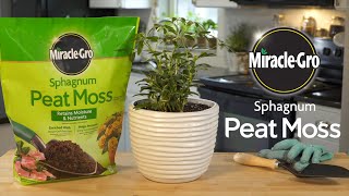 How to Grow Stronger Roots in Plants Using Miracle-Gro® Sphagnum Peat Moss