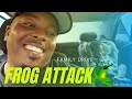 FAMILY WEEKEND DRIVE●FROG ATTACK!! #laudat #dominica #familytime #countrylife