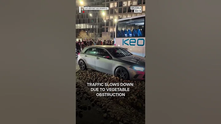 Brussels Farmers Dump Potatoes During EU Budget Protest | N18G