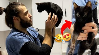 ÇILGIN YAVRU KEDİ! Sürekli Kaçmaya Çalıştı! 😂 #TheVet