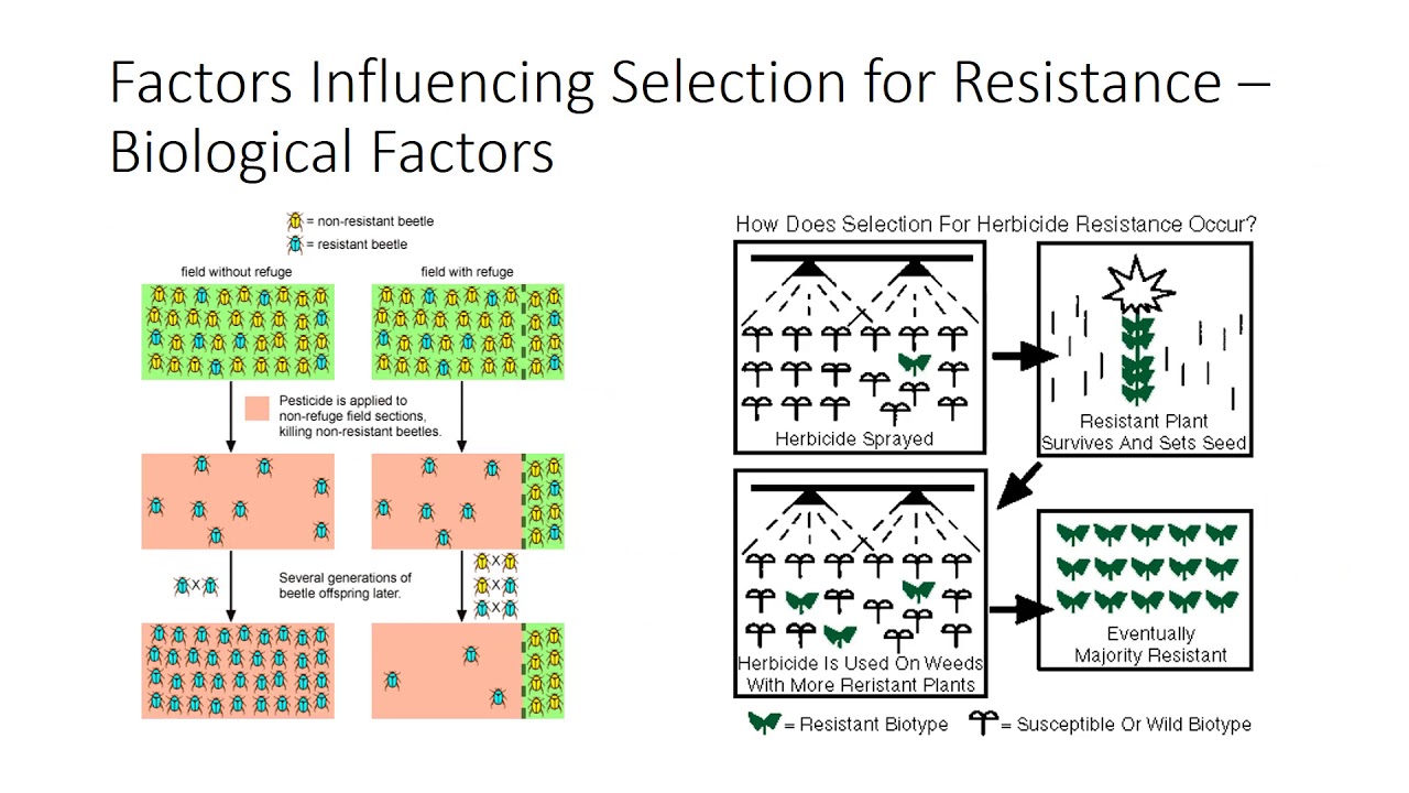 Pesticide Resistance