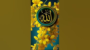 أيات بينات من سورة الرحمن#اسلام_صبحي #قران_كريم #تلاوة_خاشعة #راحة_نفسية #قرآن