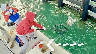 Trying Worms For Sheepshead Bait