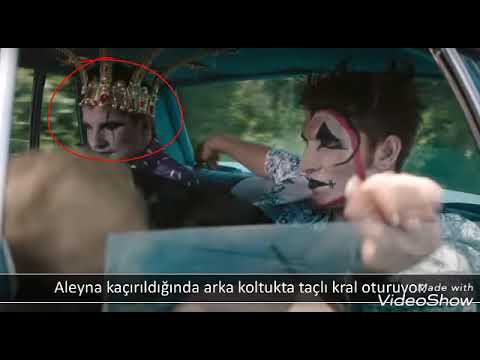 Aleyna tilki yalniz cicek çekim hataları