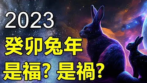 2023癸卯年 又稱「黑兔年」來臨！60年輪一次到底會如何？是禍還是福？I 預言 還是 民俗 民間信仰 哪一個更準呢? - 天天要聞